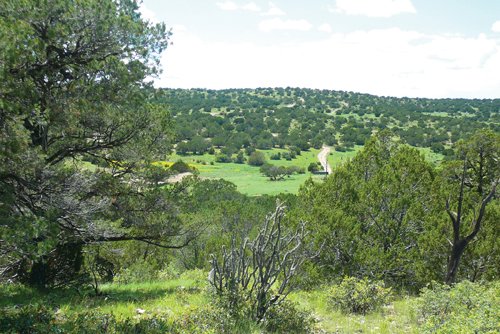 Property photo 44 - 7,320 Acres Offered in 5 Tracts